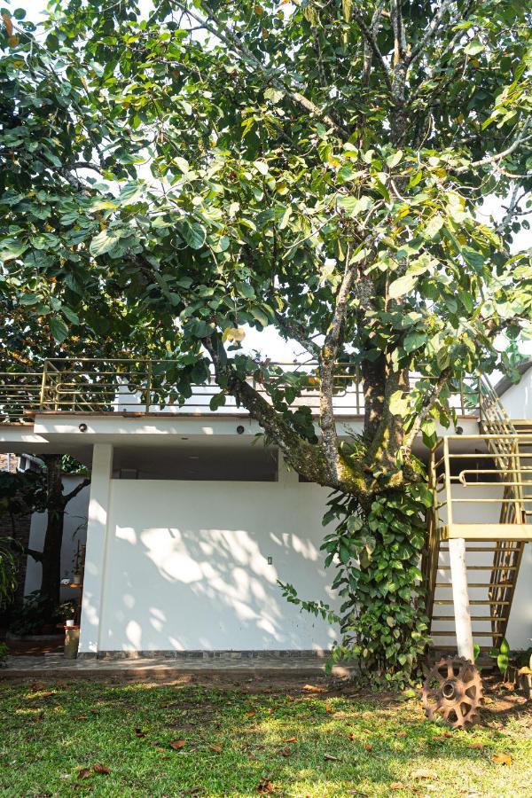 Green House タラポト エクステリア 写真