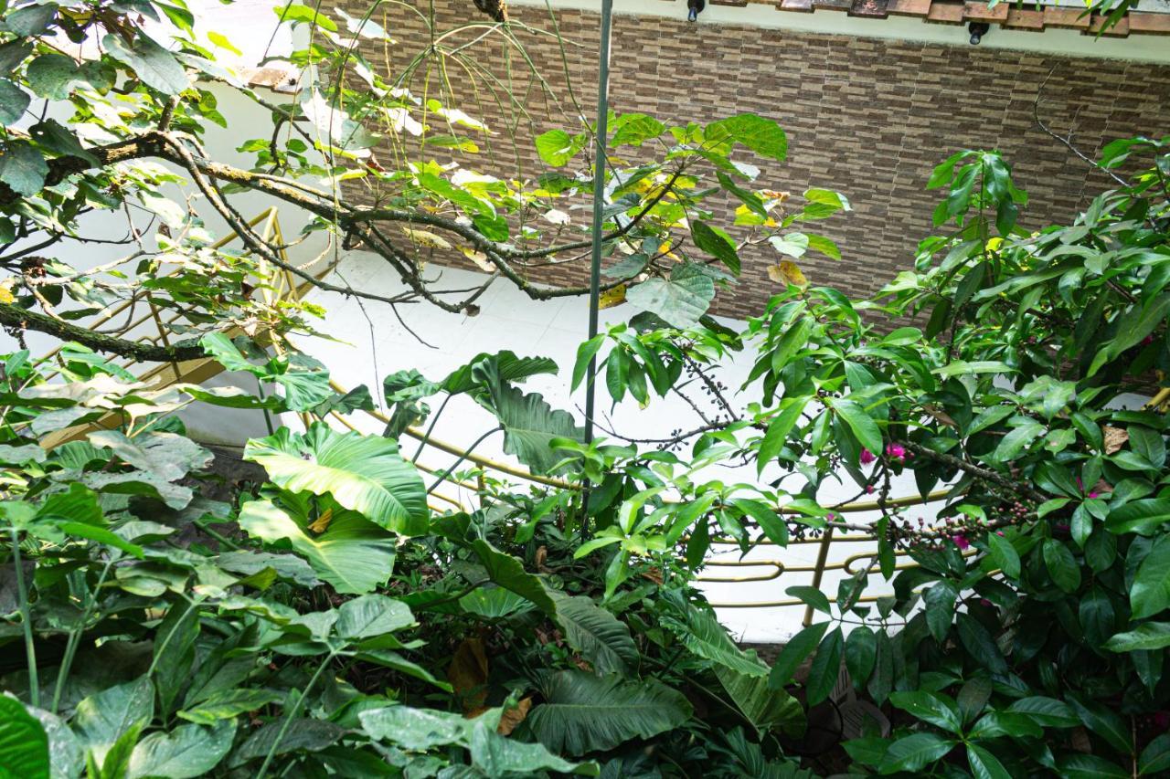 Green House タラポト エクステリア 写真