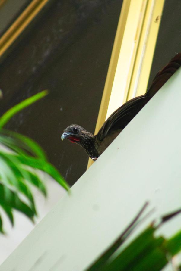 Green House タラポト エクステリア 写真